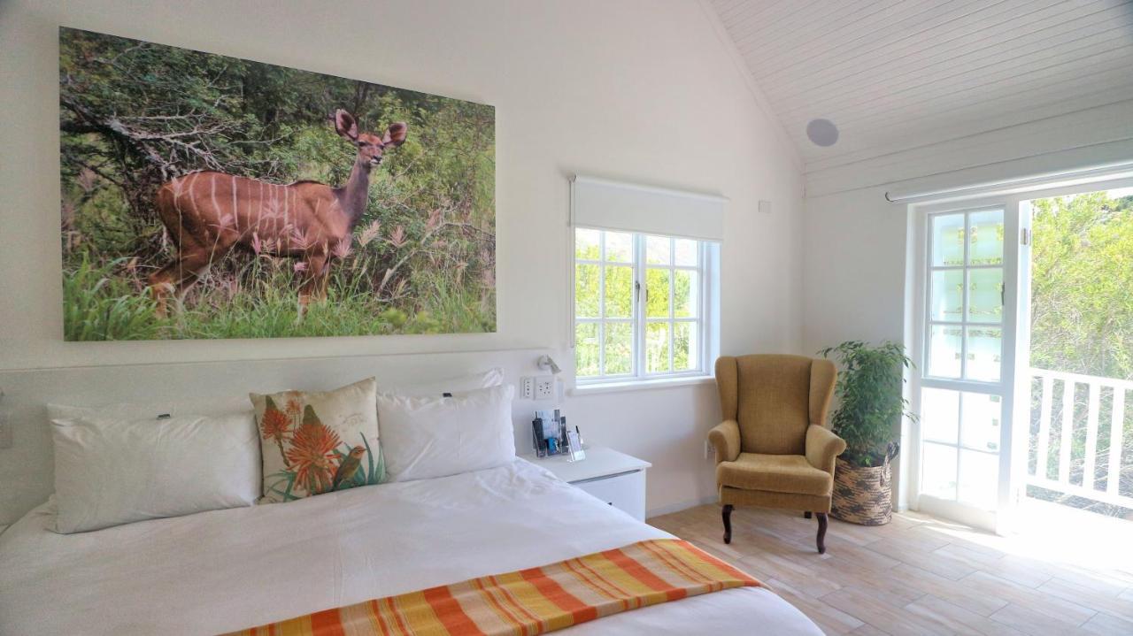 Hotel Thelab Cape Town Hout Bay Esterno foto