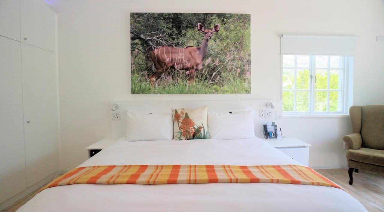 Hotel Thelab Cape Town Hout Bay Esterno foto